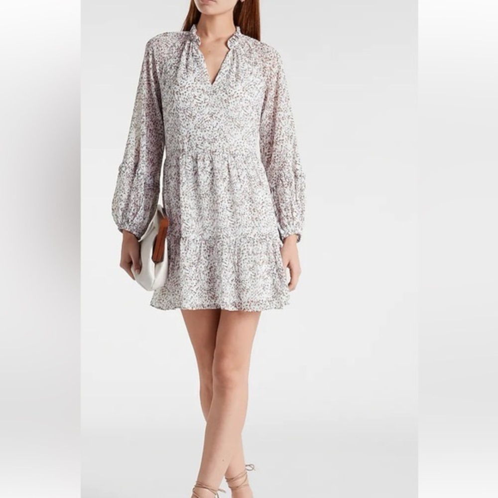 Express Animal Print Trapeze Tiered Long Sleeve Shift Dress